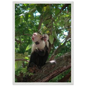 003837b2-dbd6-4802-ae19-bc63872fc5ca