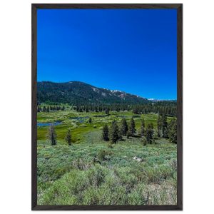 047a699e-7e4c-4a73-86fe-b64fb020daf9