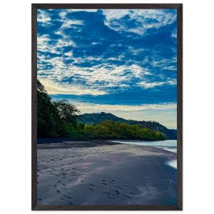 297cf0a5-d1ee-42b4-a0ed-d29483728caf