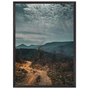 2e50421d-8491-4a4f-a561-7979319e1ca3