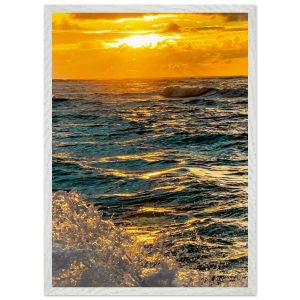 347450bf-514f-4c47-8a1d-d6402880b79d