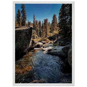 37da0029-bf6e-4dba-bf24-3ff586795866