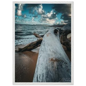 46778794-ae71-4691-9cdc-f814a3c151bb