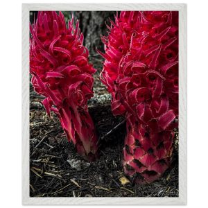 5d69ffe0-3325-424a-9fab-e1574cba1283