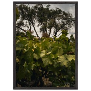 70b7e7a6-8b29-445d-888a-097721532629