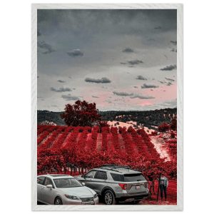 72e25f75-6de0-4df7-8b01-ec7ccb49b69a