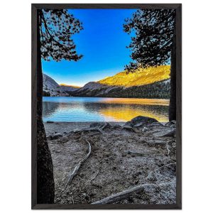 82abe316-375b-4a6e-b68c-0523fd0150a6