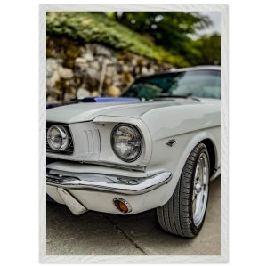 870fb1a8-a4f8-4a7f-96de-0bf9ec66f225