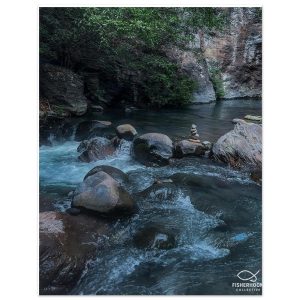 bd9fc314-8ecd-4b8f-9f1a-aaa9d91bc425