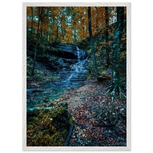 c00b875e-7ec2-49c1-a0b1-f771d8b06f0b