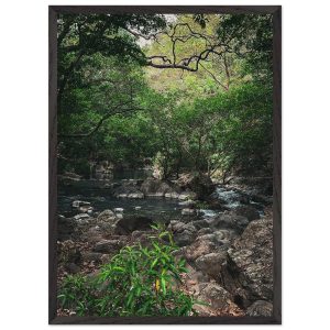 e7e424d2-a7dc-479b-bea5-994716278dee